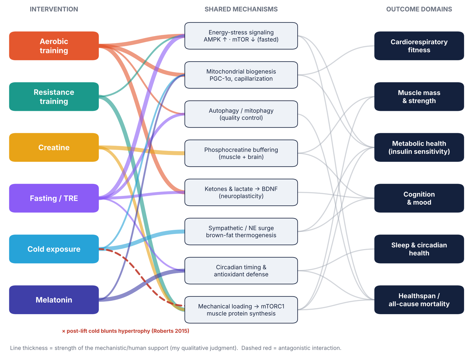 Flow diagram from six interventions through eight shared mechanisms to six outcome domains