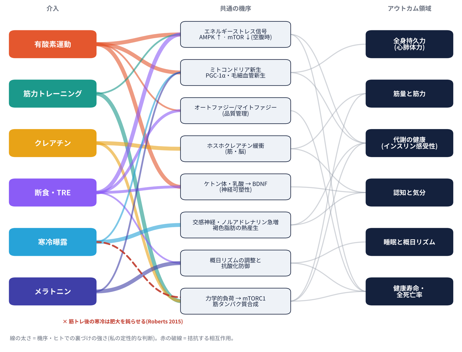 六つの介入から八つの共通機序を経て六つのアウトカム領域へ至る流れ図